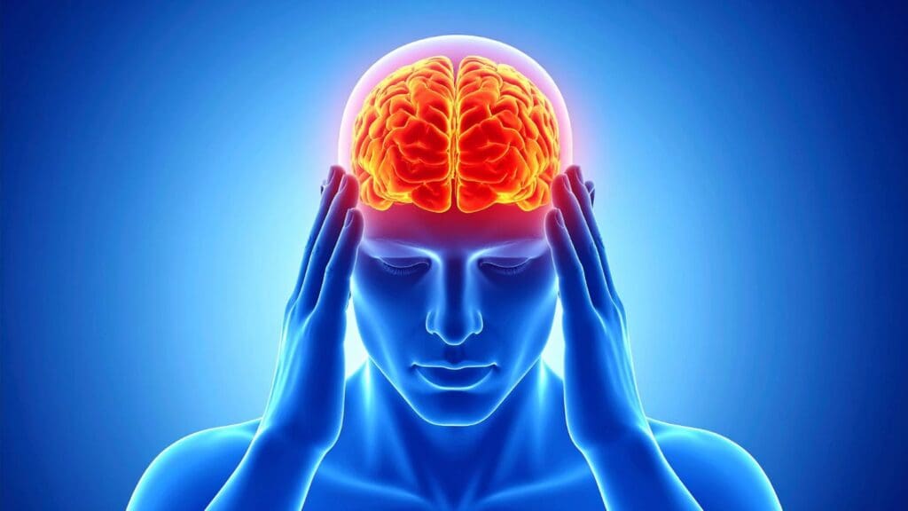 Alcohol Brain Recovery Timeline After Addiction